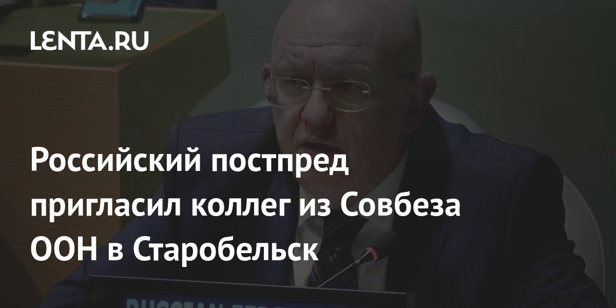 Постпред РФ пригласил членов Совбеза ООН в Старобельск