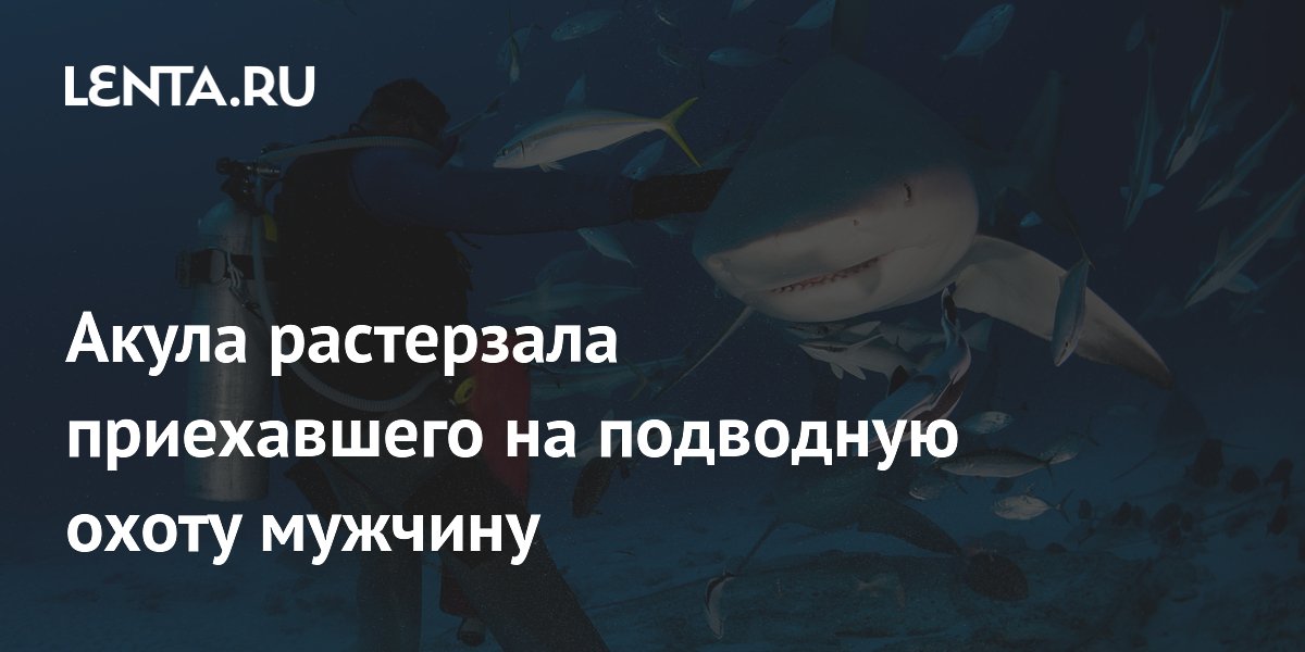 ����� ������ �� ���������� �������� � ���������: ����������� ��������