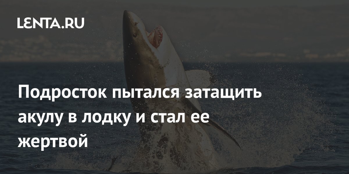 Подросток пострадал от укуса акулы при попытке затащить её в лодку Подросток пострадал от укуса акулы при попытке затащить её в лодку