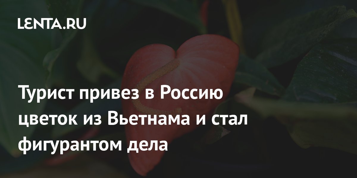 ������� ��������� ����� ������� �� �������� ����������������� ����: ������� ����� ��������