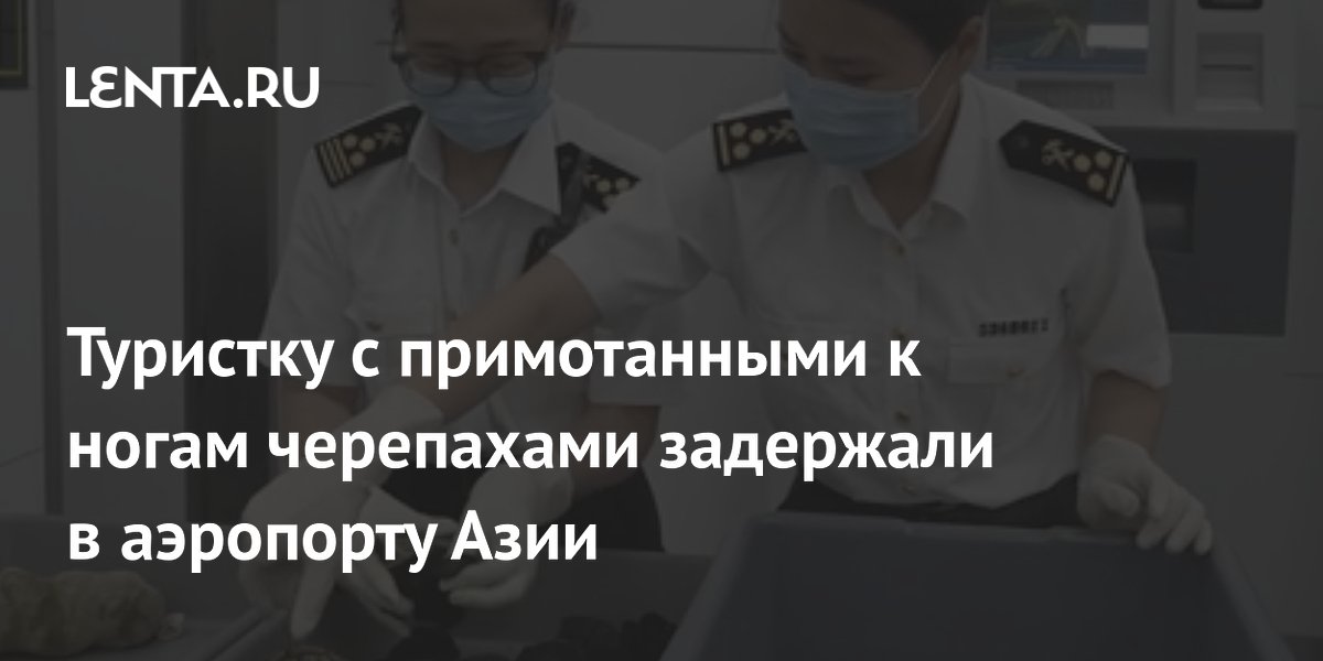 Туристку с 58 черепахами, примотанными к ногам, задержали в аэропорту Шэньчжэня