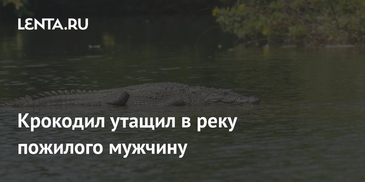 В Малайзии крокодил напал на рыбака: мужчина вырвался и выжил В Малайзии крокодил напал на рыбака: мужчина вырвался и выжил