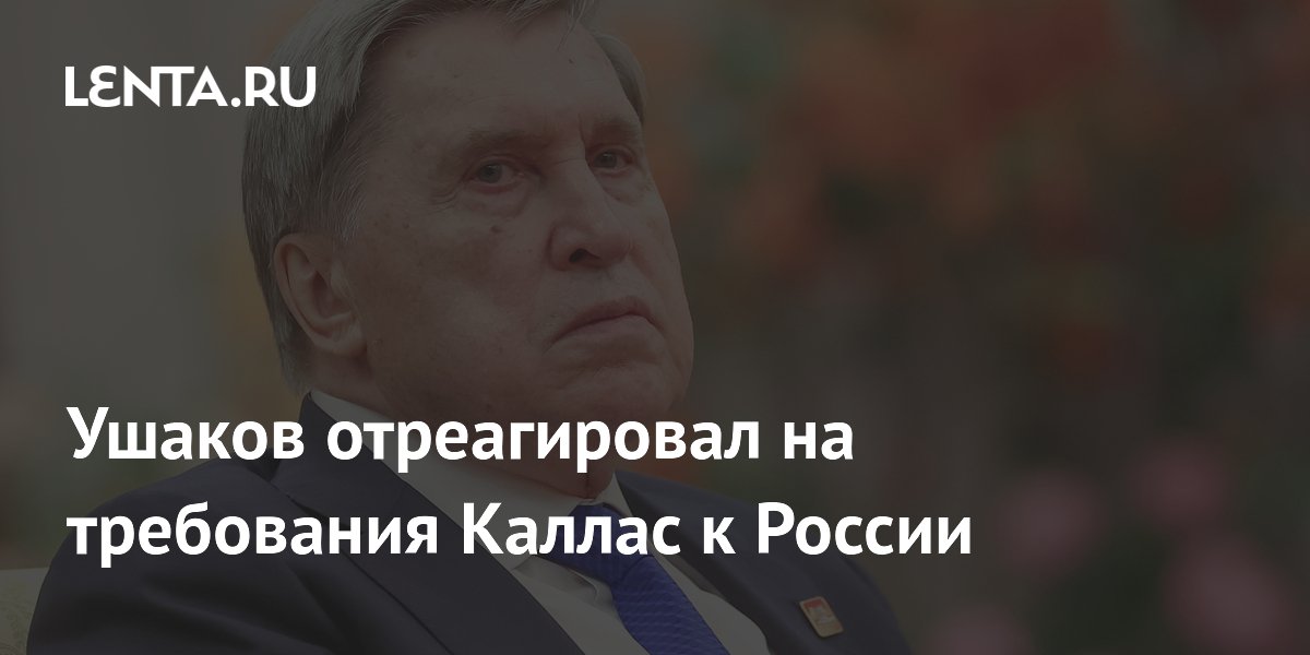 Помощник Путина назвал требования главы дипломатии ЕС уличным высказыванием