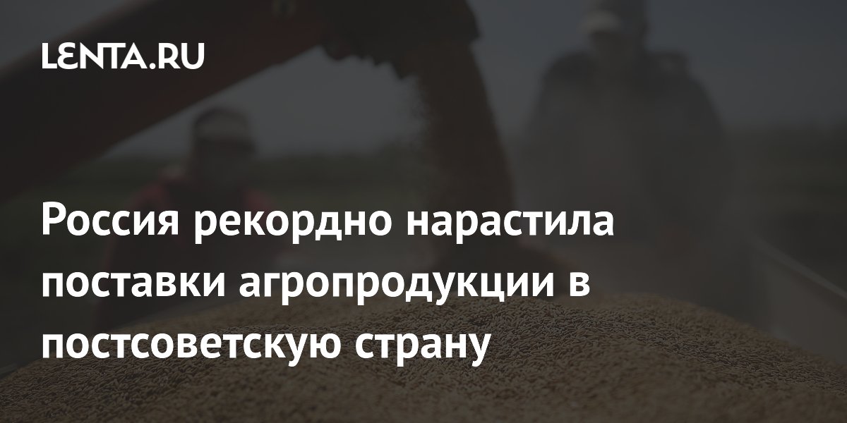 Россия поставила в Казахстан рекордный объем агропродукции за первый квартал 2026 года