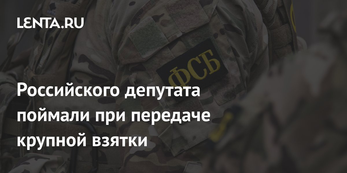 Депутата из Ленобласти задержали при передаче взятки в 50 млн рублей