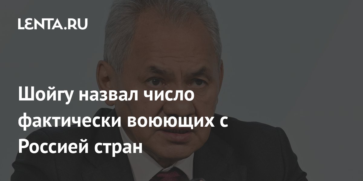 Шойгу: с Россией на Украине фактически воюют 56 стран
