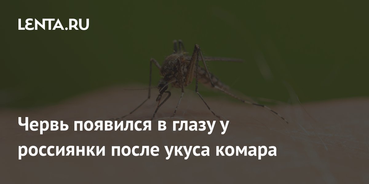 ������� �������: � ��������� ������� � ������� ����� ����� ������ � ����� ����� �����