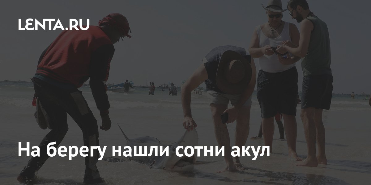 ����� ���� �� ����� ������: ��� ����� ����� ���������