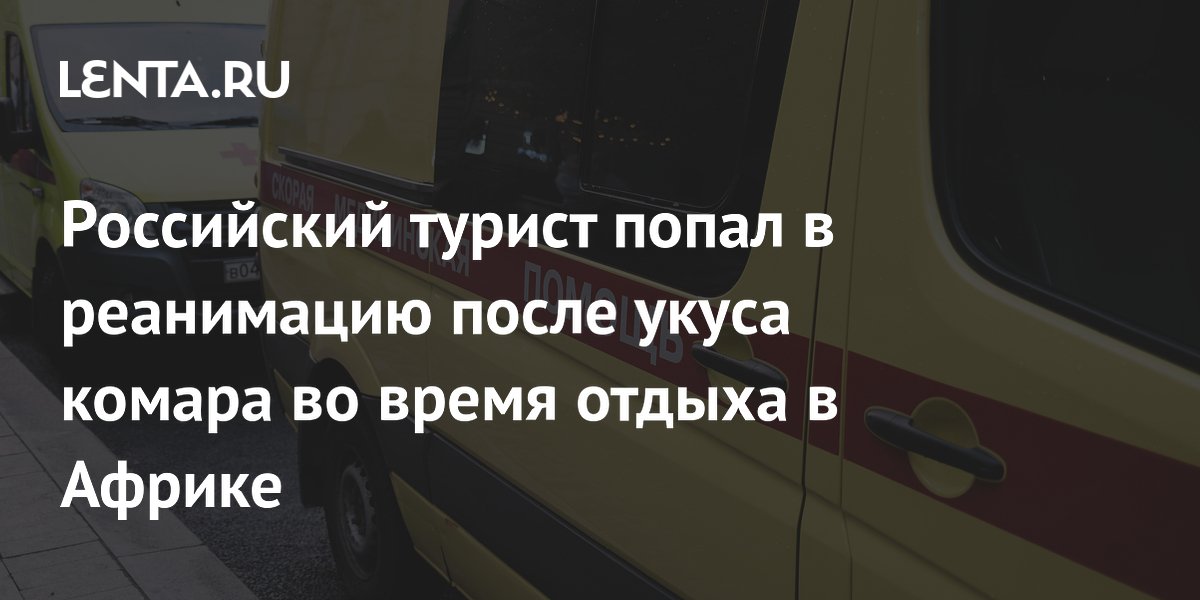Российский турист попал в реанимацию после укуса комара в Африке: важность профилактики малярии