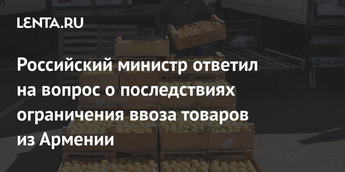Глава Минэкономразвития: ограничения на ввоз товаров из Армении не скажутся на экономике РФ