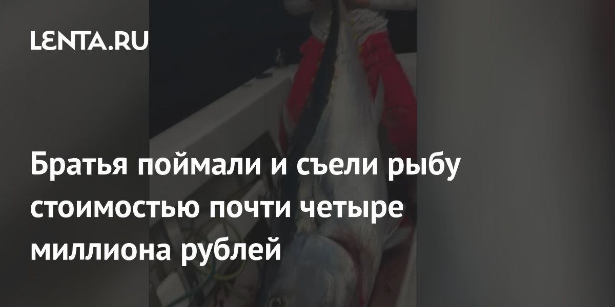 ������ � ��������� ������� ����� �� 4 ��� ������, �� �� ������ �������: �������� ������