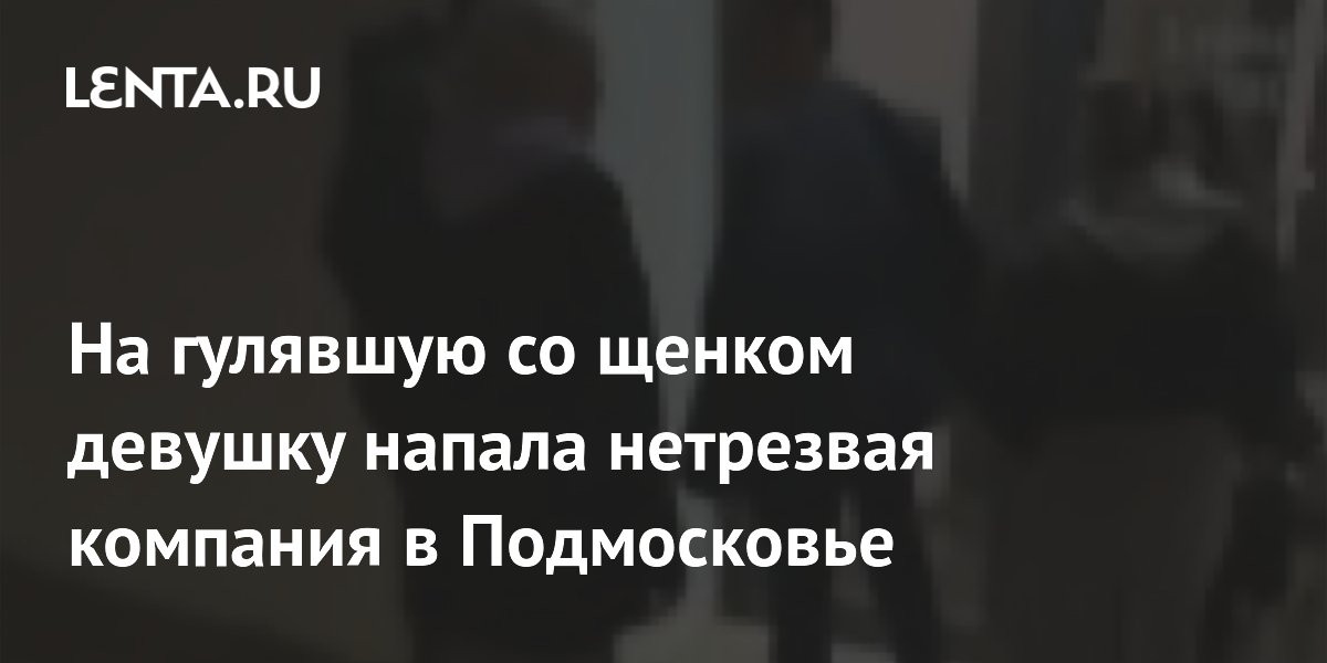 В Мытищах нетрезвая компания напала на девушку со щенком у детской площадки