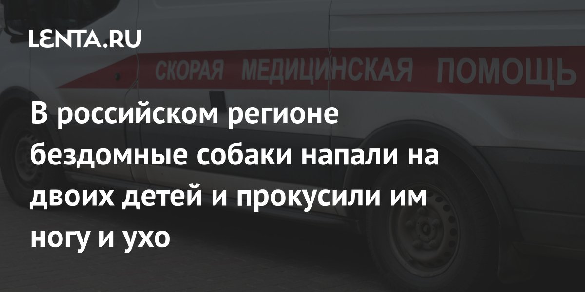 � �������������� ���� ��������� ������ �������� ���� �����