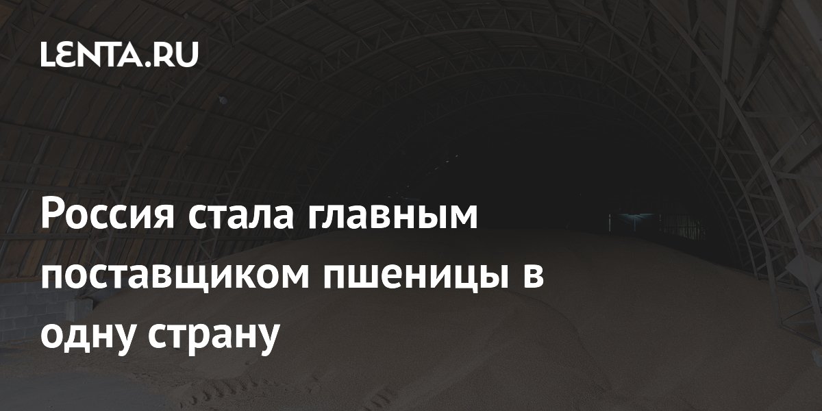Россия стала главным поставщиком пшеницы в Кению: итоги сезона Россия стала главным поставщиком пшеницы в Кению: итоги сезона