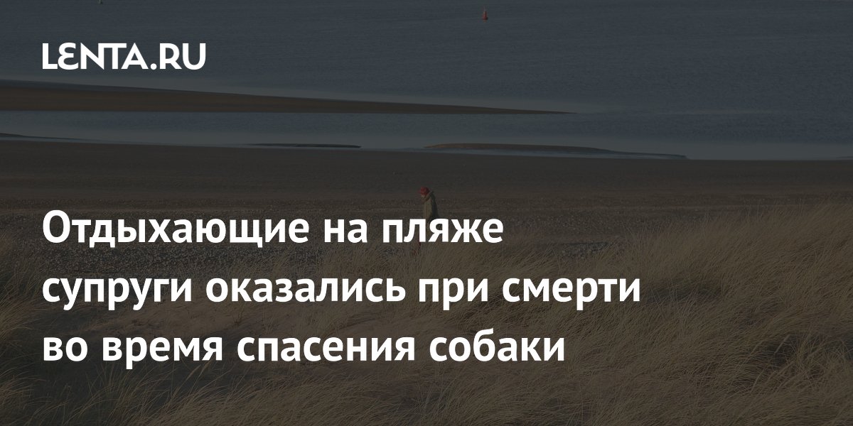 Супруги в Великобритании едва не погибли, спасая собаку на пляже: женщина умерла