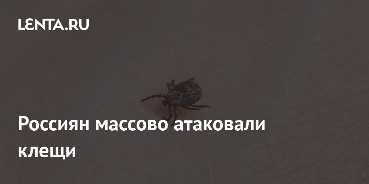 ������� ��������� �����: ����� 176 ����� ��������� �� �����