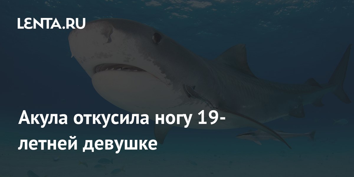 В Бразилии тигровая акула откусила ногу 19-летней девушке: как избежать трагедии на пляже В Бразилии тигровая акула откусила ногу 19-летней девушке: как избежать трагедии на пляже