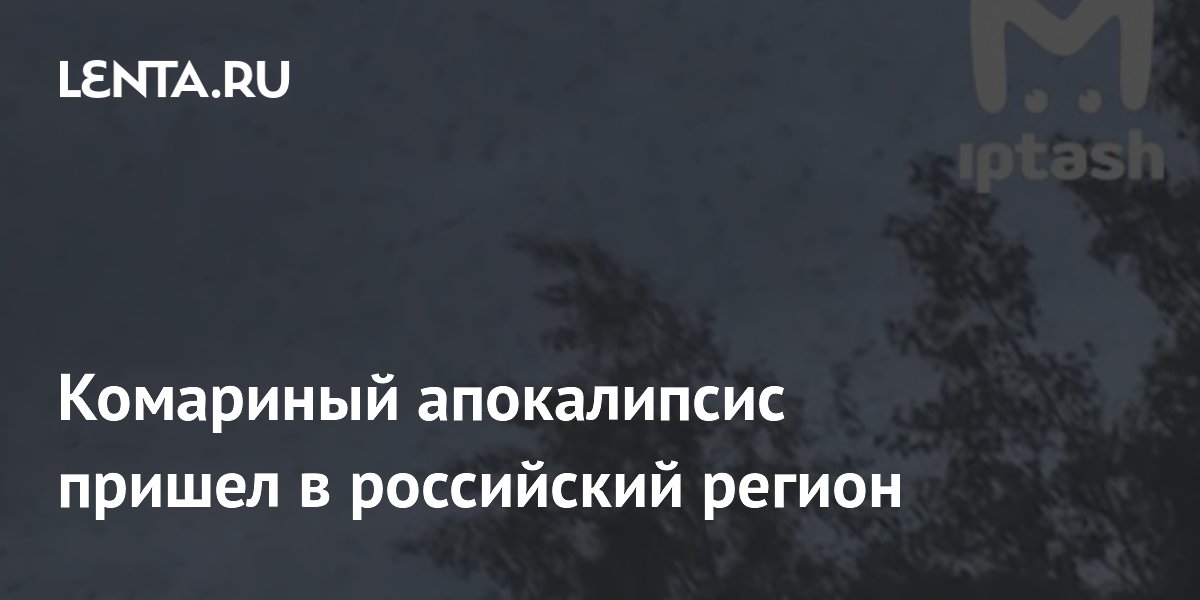 ��������� ������� � ����������: ��������� ����� ��� ��������� �������