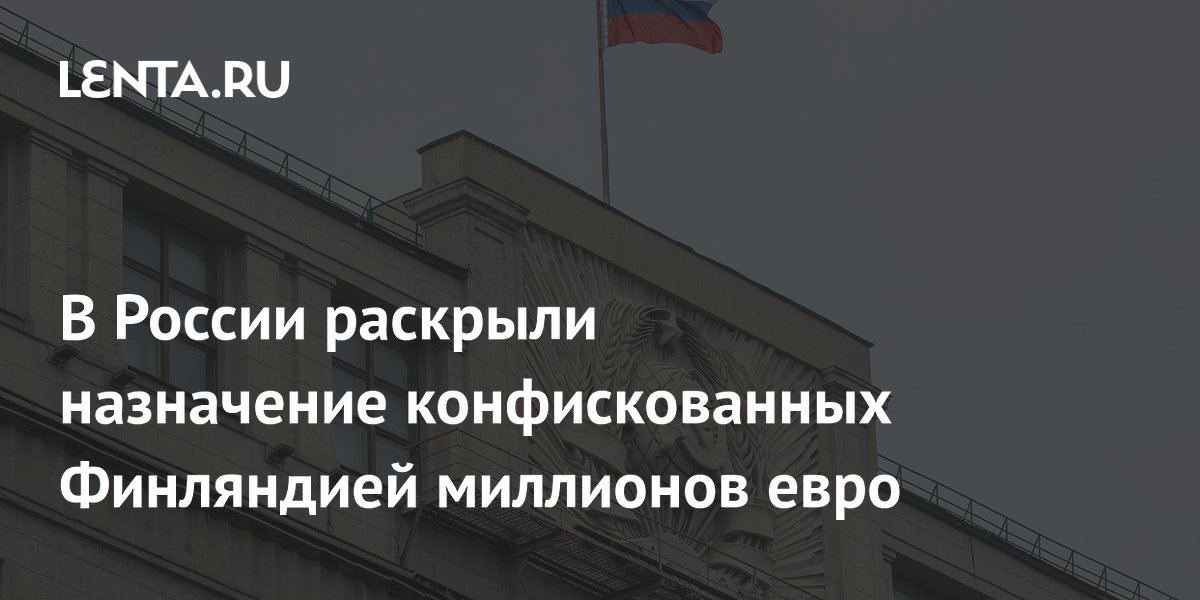 Депутат Журова: конфискованные Финляндией 4 млн евро могли предназначаться детям-инвалидам