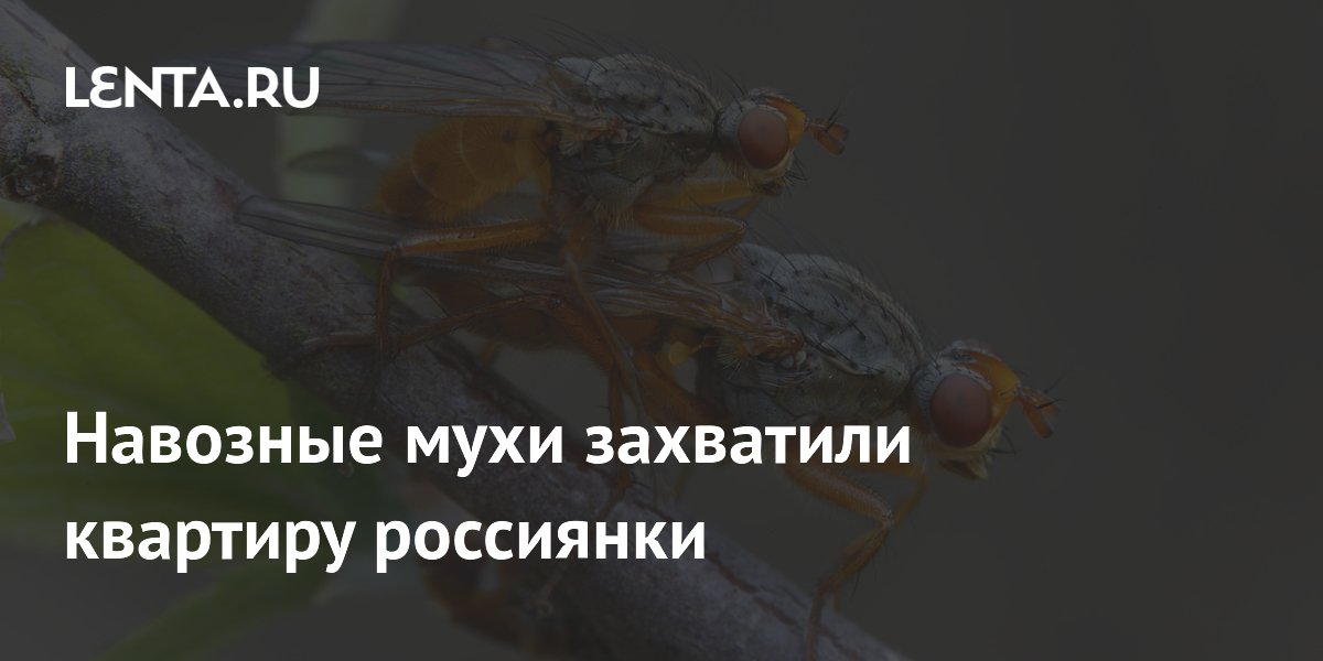 �������� ���� ��������� �������� ����� ������� � ����-���