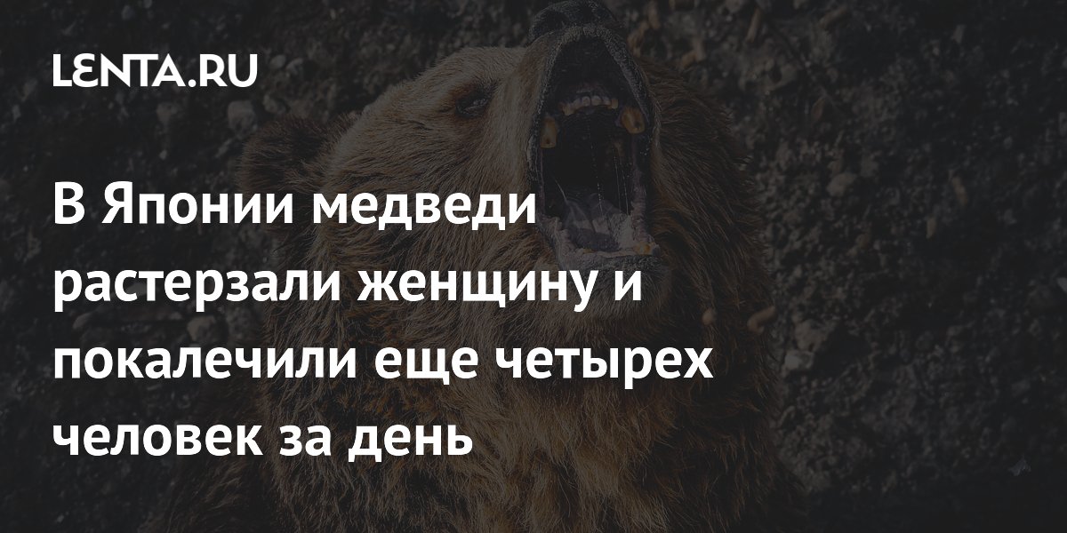 В Японии медведи напали на пятерых человек за один день, женщина погибла В Японии медведи напали на пятерых человек за один день, женщина погибла