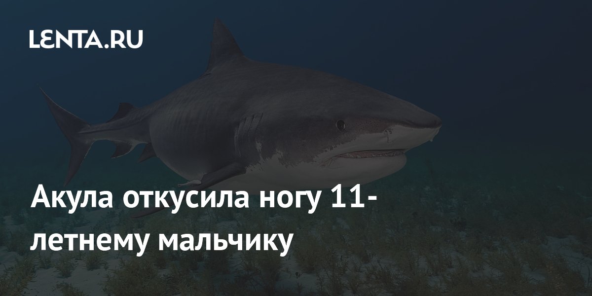 11-������� �������� ����� �������� ���� �� ����� � ��������