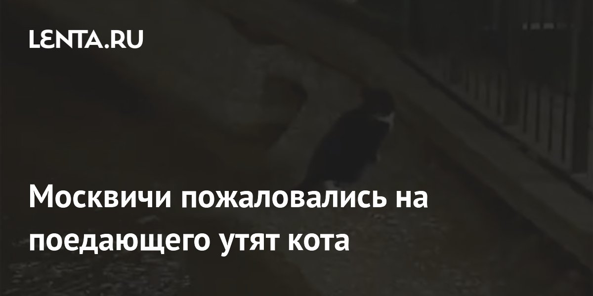 ��� � �� �������� ���� ������� ���� ������: �� ������� ����� ���� ������