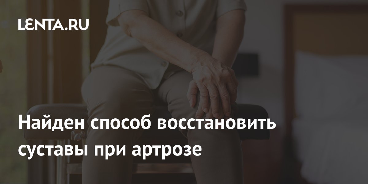 Ученые Йеля нашли способ восстанавливать суставы при артрозе с помощью препарата от эпилепсии