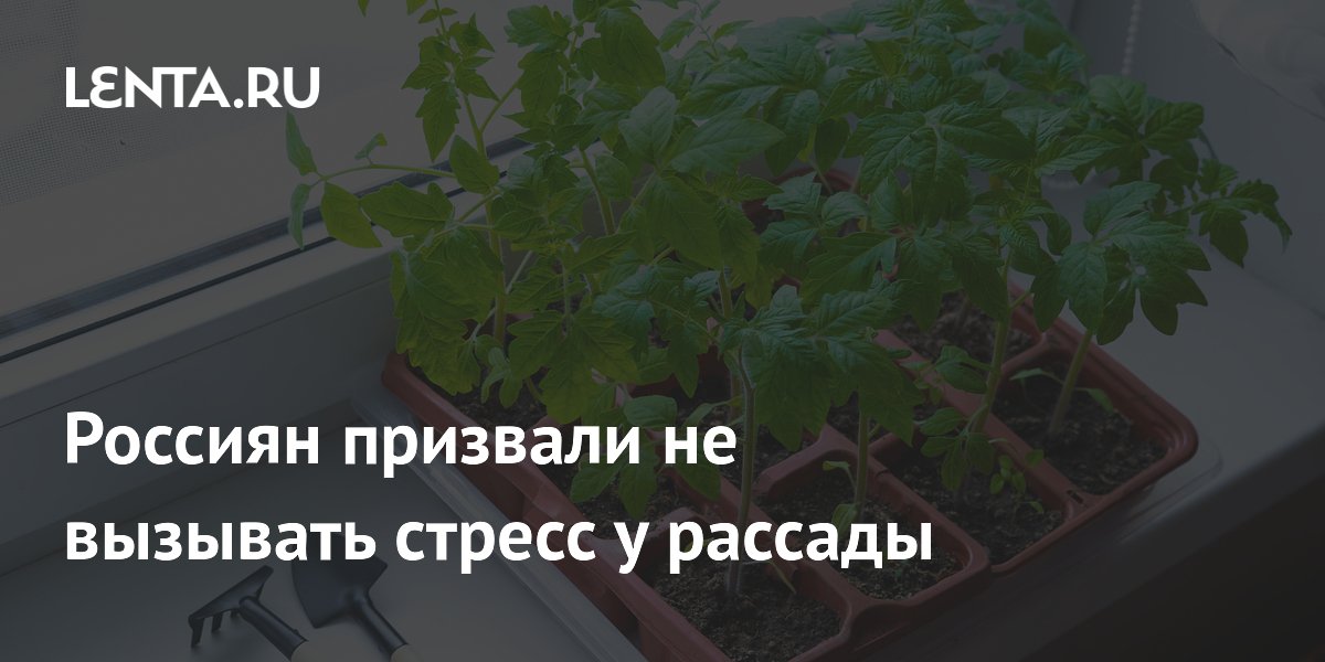 ������� ��� �������: ������� ���������, ������ ������ ������ ������