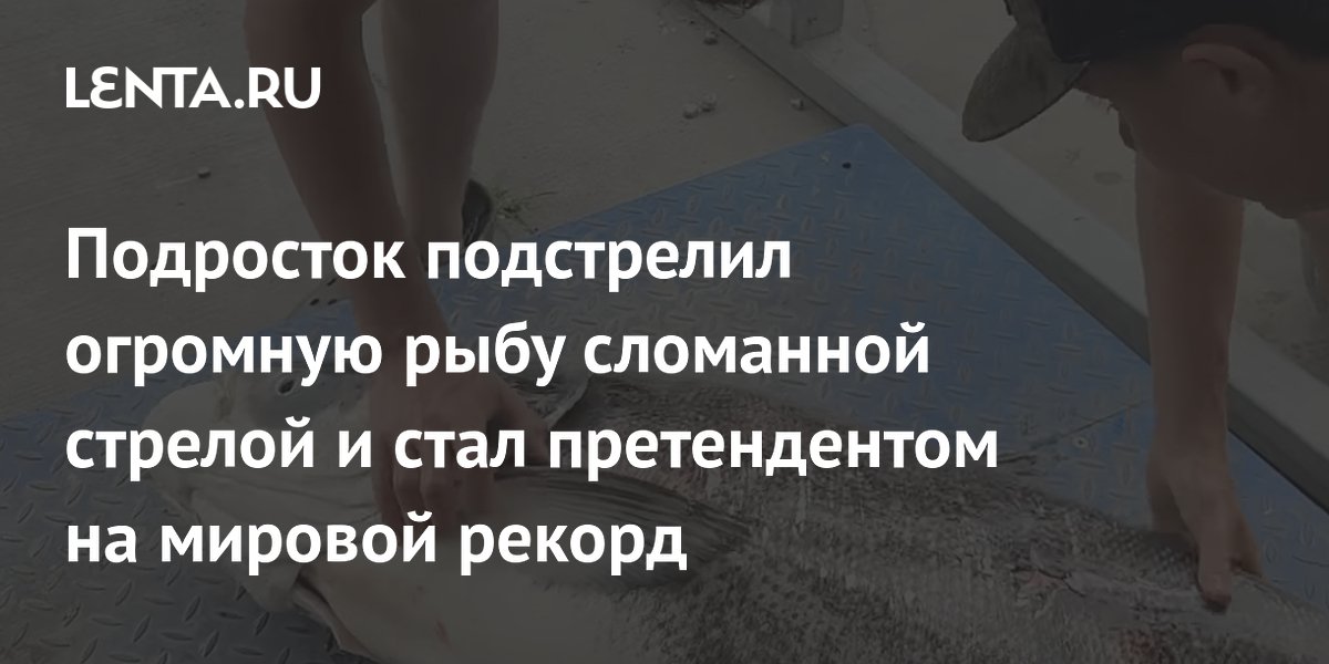 ��������� ���������� 37-������������� ���� ��������� ������� � ���������� �� ������
