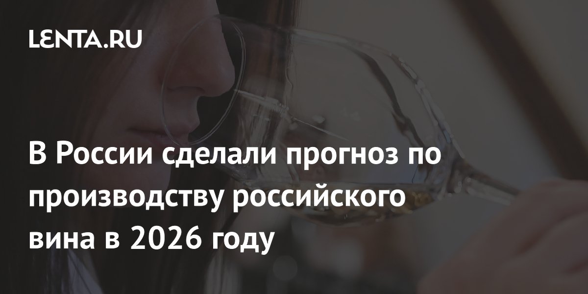 В России спрогнозировали хороший урожай винограда для вина в 2026 году