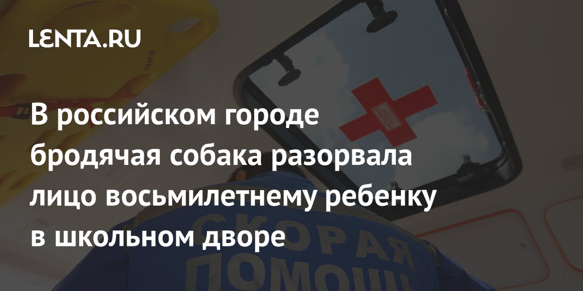 � ���������� �������� ������ ������ �� ������� � �������� �����: ������� ������� ������ ���� ����