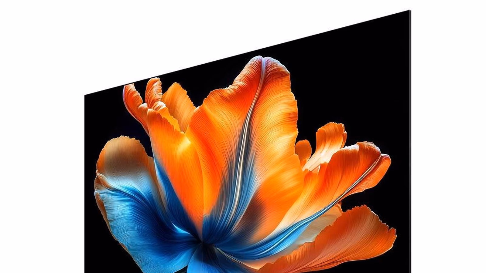 Xiaomi TV S Mini LED 2026 � QD-Mini LED ����� � ������: �� 50 ���. ������