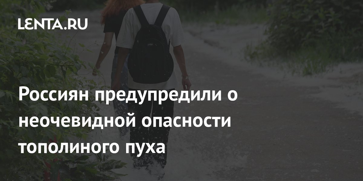 Тополиный пух таит опасность: аллерголог рассказала о клещах, вызывающих аллергию