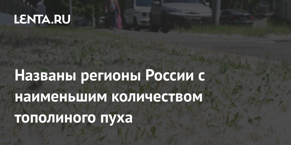 Холодная весна помогла: где в России меньше всего тополиного пуха