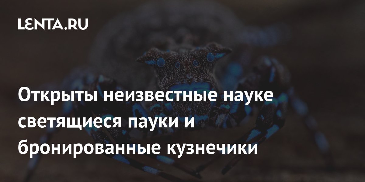� ������ ����� ���������� ������ � ������������� ����������: ��������� ��������