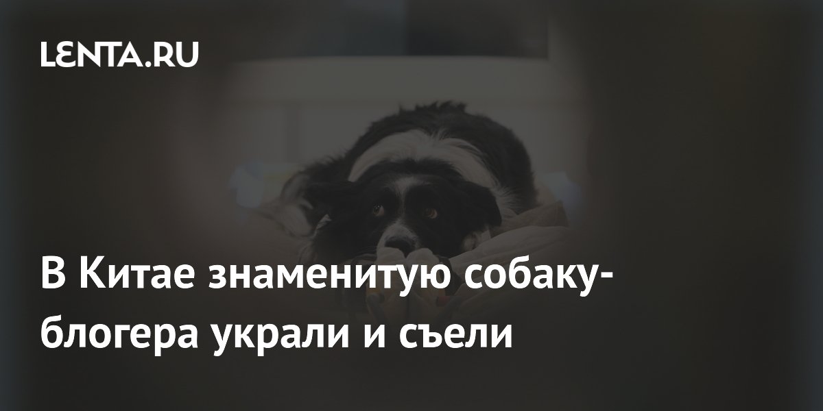� ����� ������ � ����� ������-������� � ���������� �����������