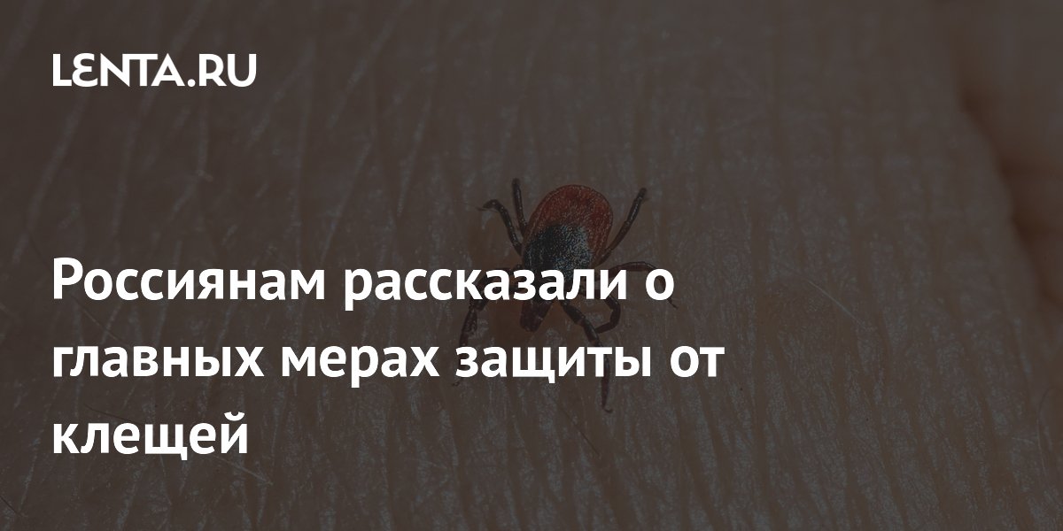 ��� ���������� �� ������: ������ ����������������