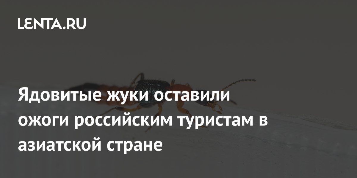 Ядовитые жуки томкаты оставили ожоги российским туристам во Вьетнаме