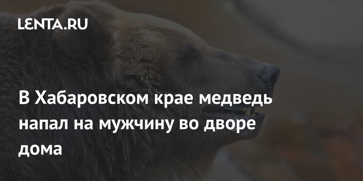 Медведь напал на мужчину во дворе дома в Хабаровском крае