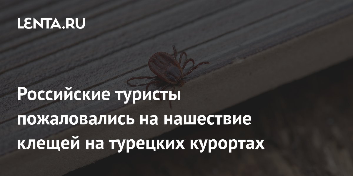 ���������� ������� �������� �� ������ � ������: ������� � ���� ������