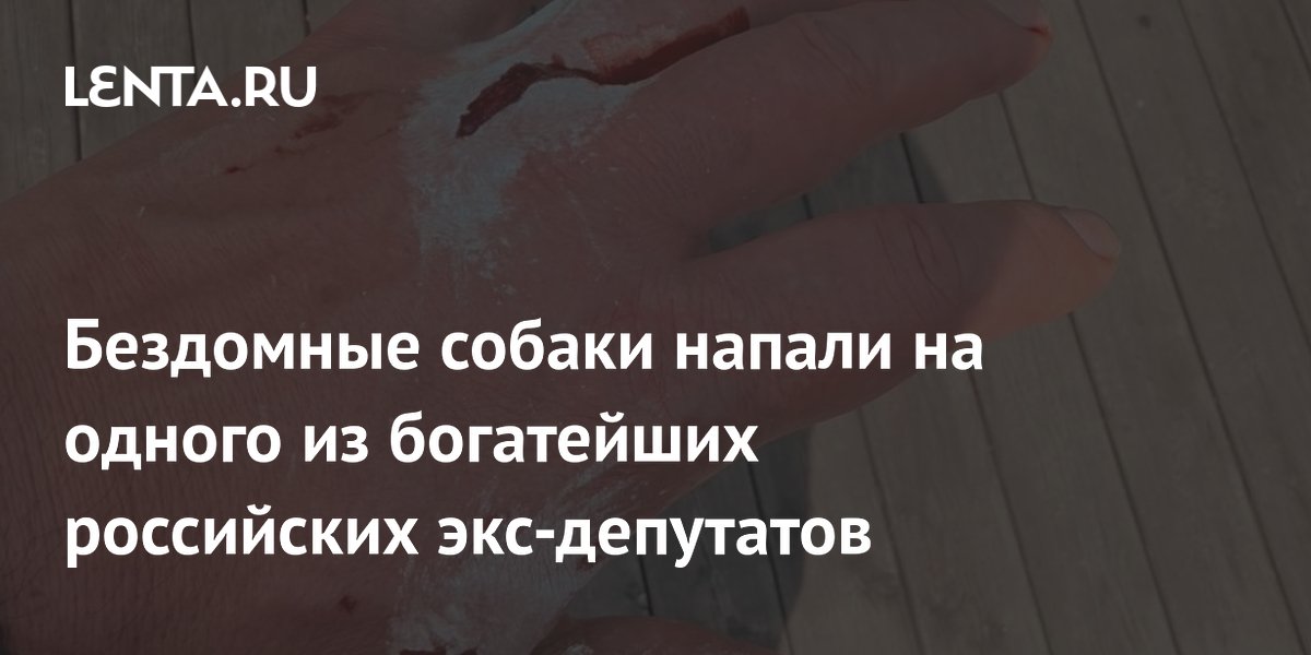 Бездомные собаки напали на экс-депутата в Челябинске: подробности