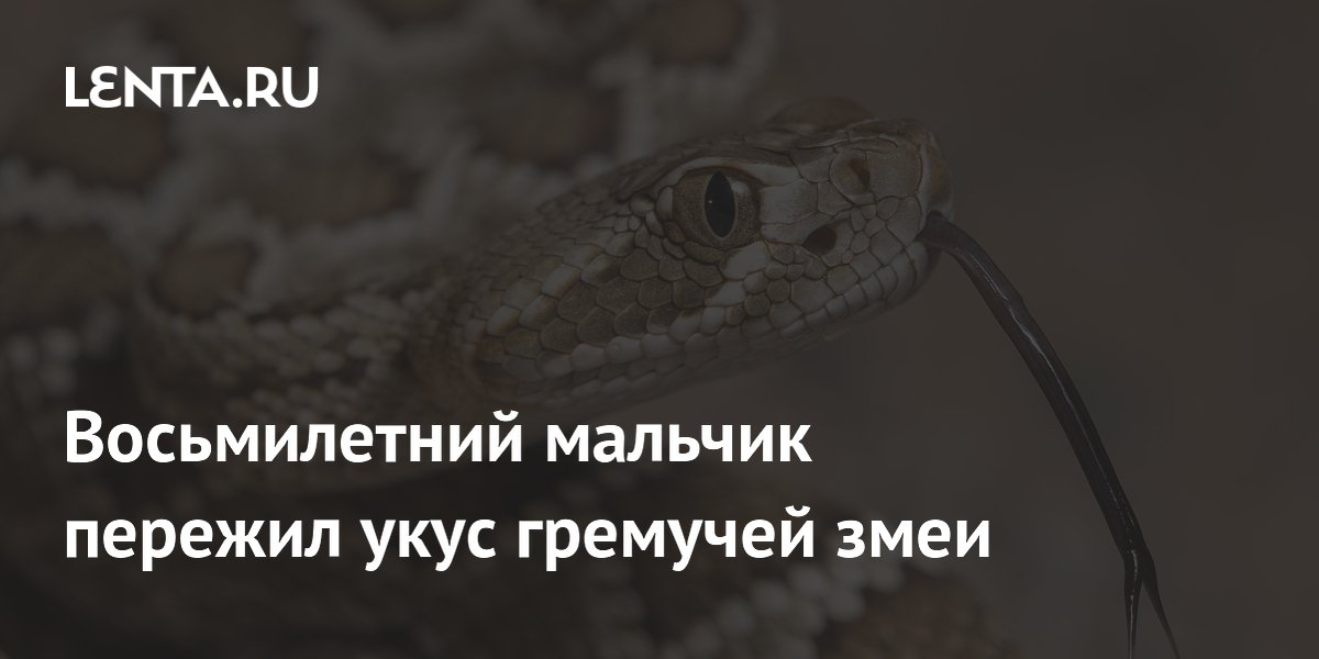 ��� ������������ ������� ����� ����� ����� �������� ���� ����
