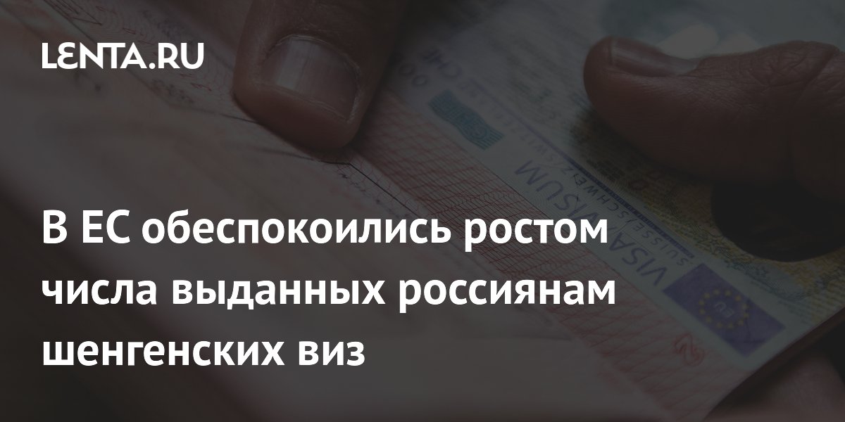 Рост числа шенгенских виз для россиян обеспокоил депутата Европарламента