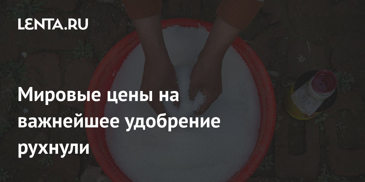 ������� ���� �� �������� ����� ����� ��� �� 30% � �������� ������