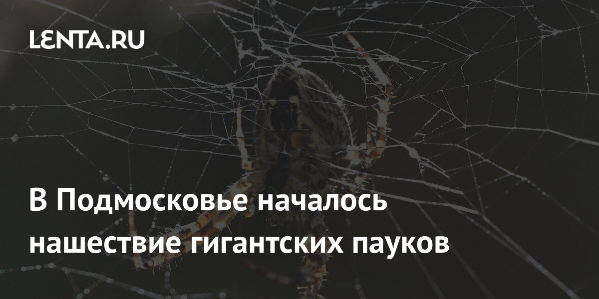 � ����������� �������� ���������� ������: �������� ������� ���������