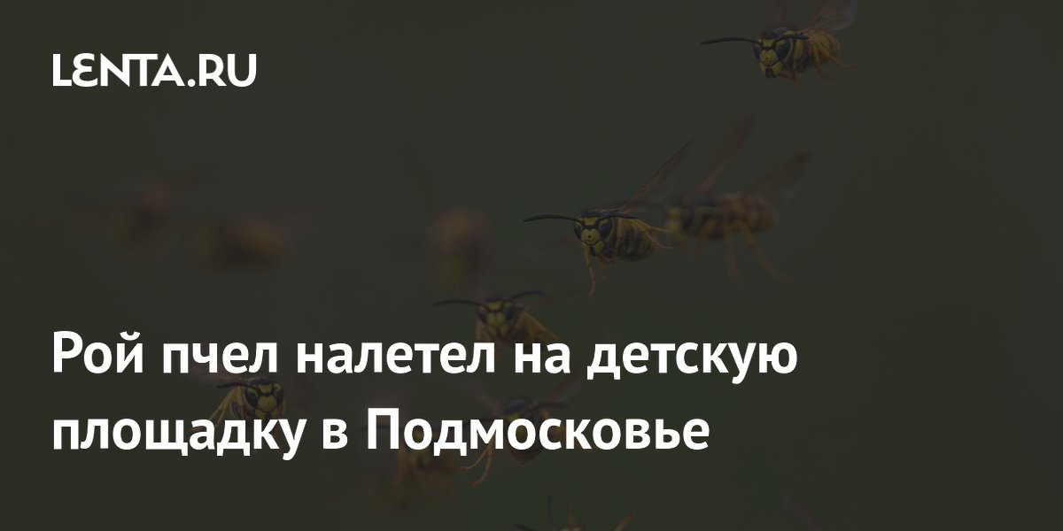��� ���� ������� �� ������� �������� � �����������: �����������