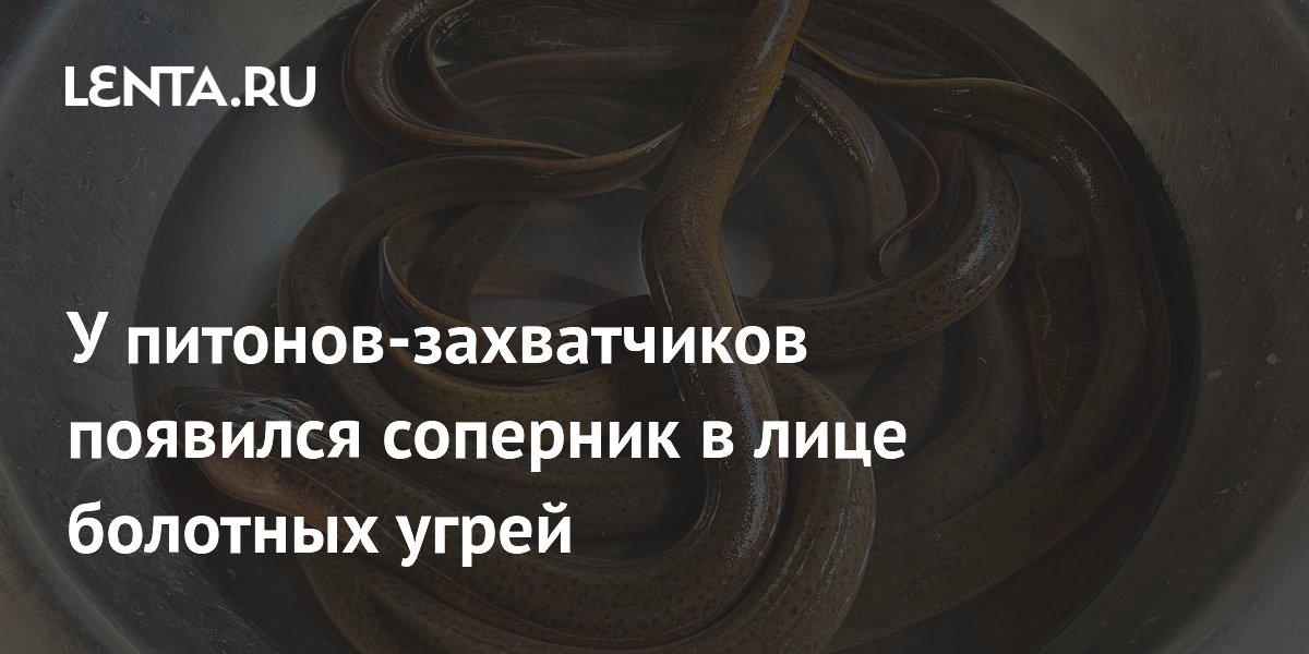 �������� ���� �� ������� ��������� ������� �������: ���������� ��� �������