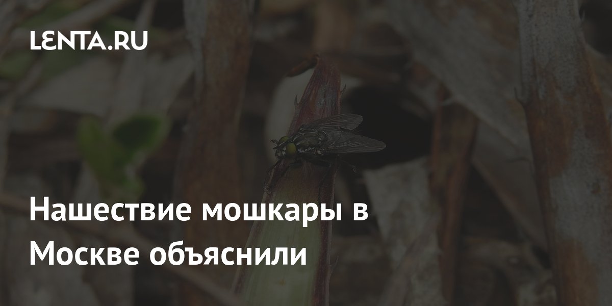 ��������� ������� � ������: ��������� �������� �������