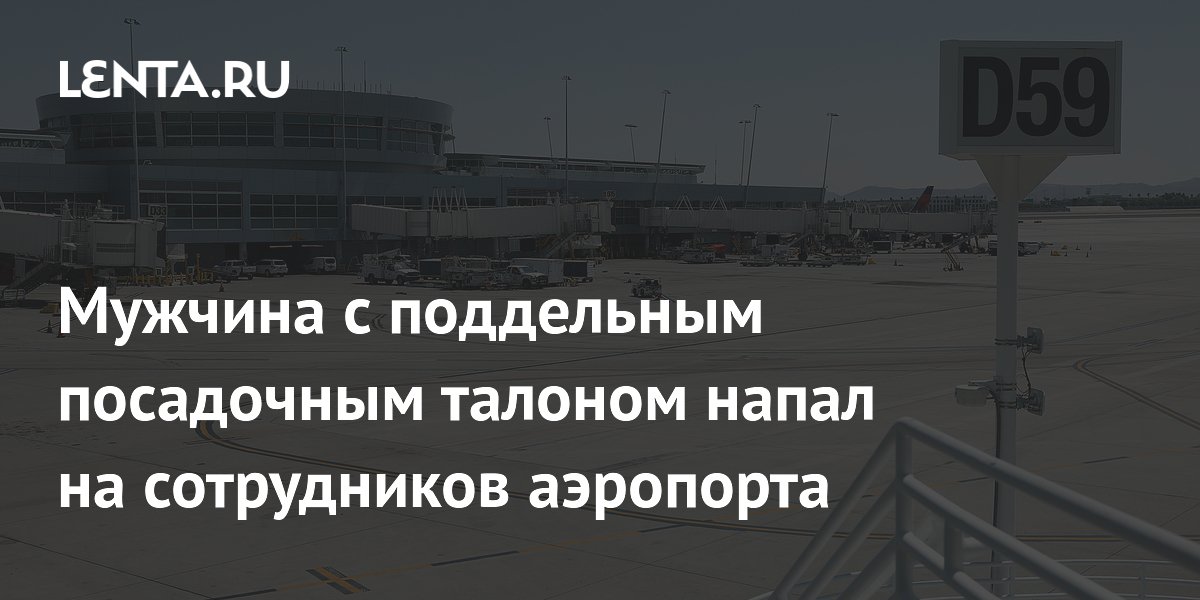 Мигрант с поддельным посадочным напал на охрану аэропорта Лас-Вегаса: грозит 10 лет тюрьмы